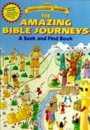 amazing Bible journeys: a seek and find book
