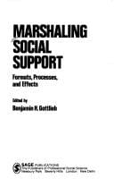 Marshaling Social Support: Formats, Processes, and Effects
