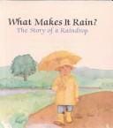 What Makes It Rain?: The Story of a Raindrop