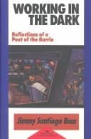 Working in the Dark: Reflections of a Poet of the Barrio (Red Crane Literature Series)
