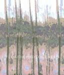 Florida Photogenesis: The Work of Creative and Experimental Photographers in Florida