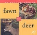 Fawn to Deer (Animals Growing Up)