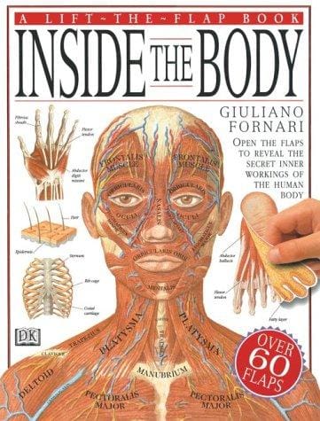 Inside the body