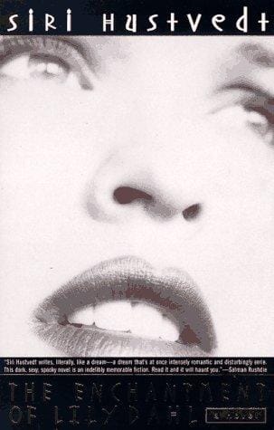 The Enchantment of Lily Dahl: A Novel