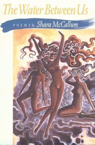 The Water Between Us: Poems