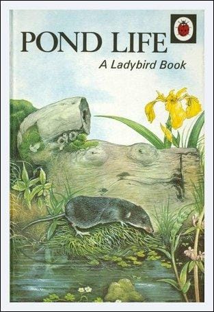 Pond Life: A Ladybird Book