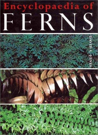 Encyclopaedia of Ferns