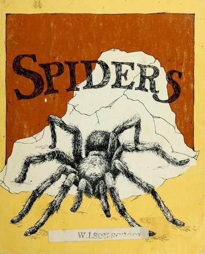 Spiders
