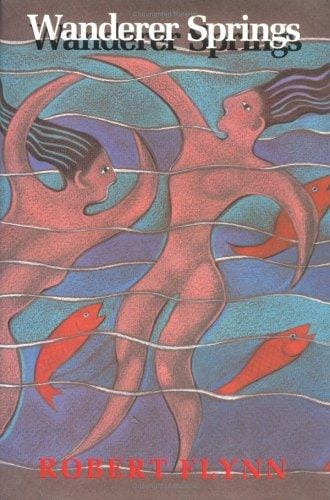 Wanderer Springs: a novel