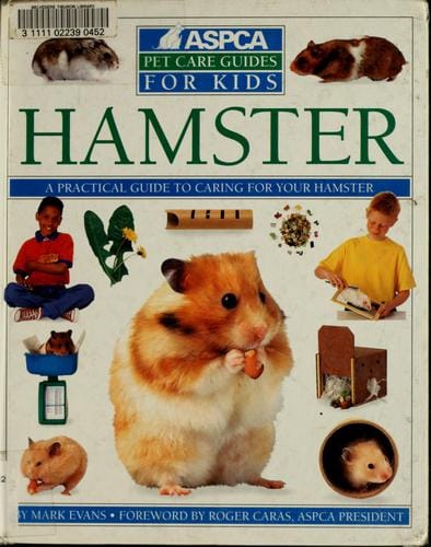 Hamster