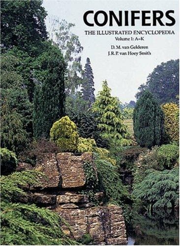 Conifers: the illustrated encyclopedia