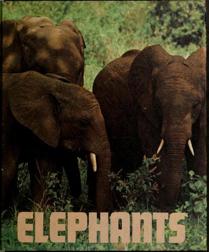 Elephants