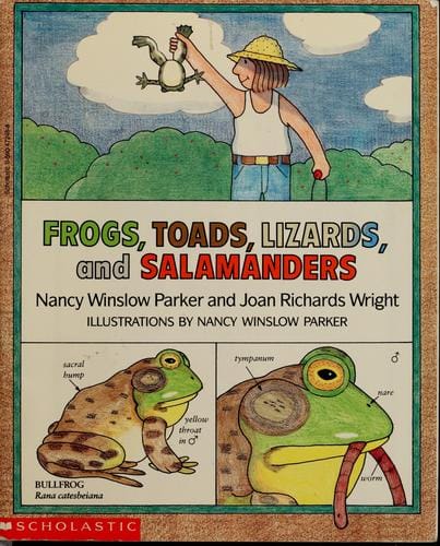 Frogs, toads, lizards, and salamanders