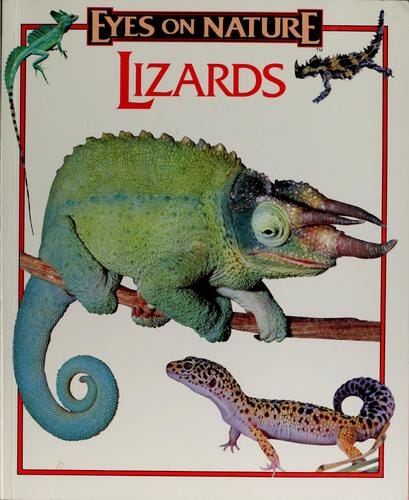 Lizards
