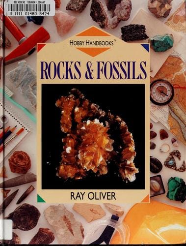 Rocks & fossils