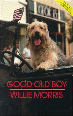 Good Old Boy: A Delta Boyhood