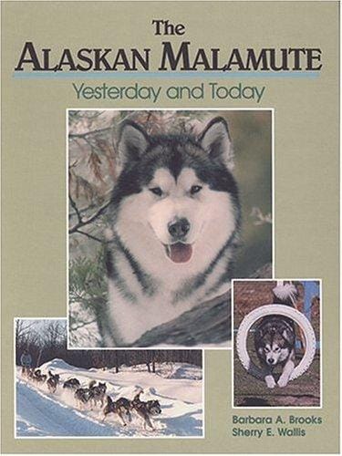 The Alaskan Malamute: yesterday and today