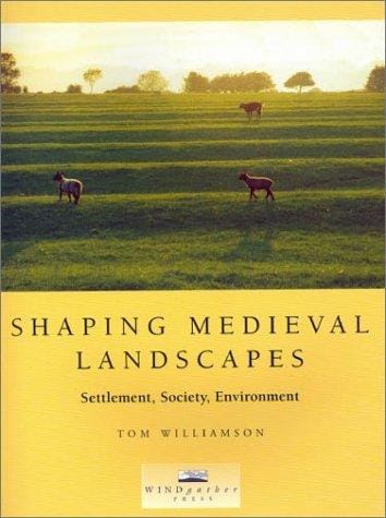 Shaping Medieval Landscapes: Settlement, Society, Environment