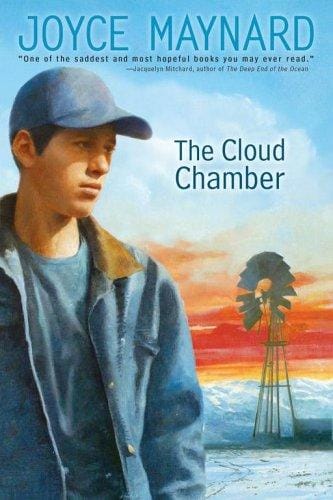 The Cloud Chamber (Anne Schwartz Books)
