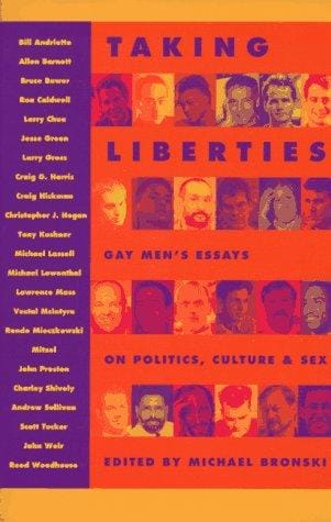 Taking Liberties: Gay Men's Essays on Politics, Culture, and Sex