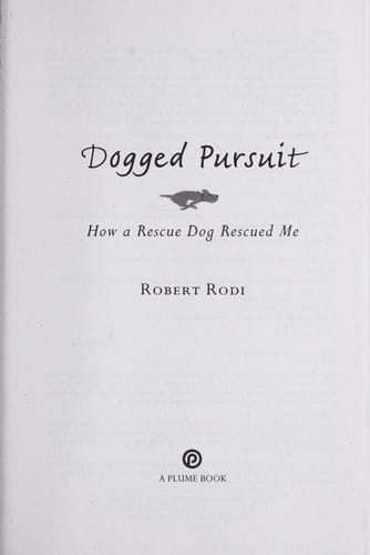 Dogged pursuit: how a rescue dog rescued me
