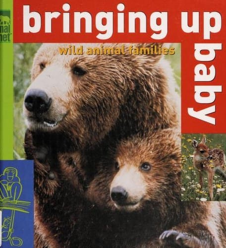 Bringing up baby: wild animal families