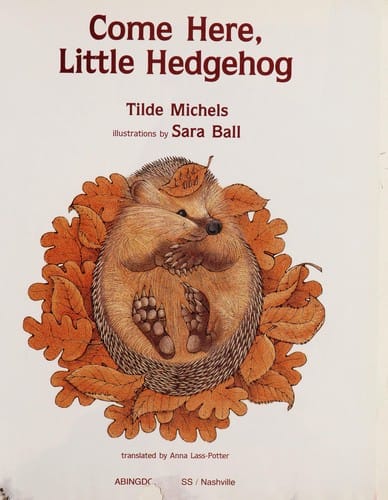 Come here, little hedgehog