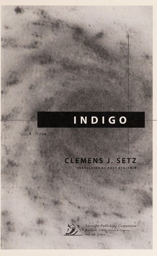 Indigo: a novel