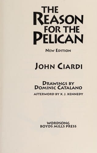 The reason for the pelican