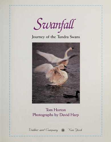 Swanfall: journey of the tundra swans