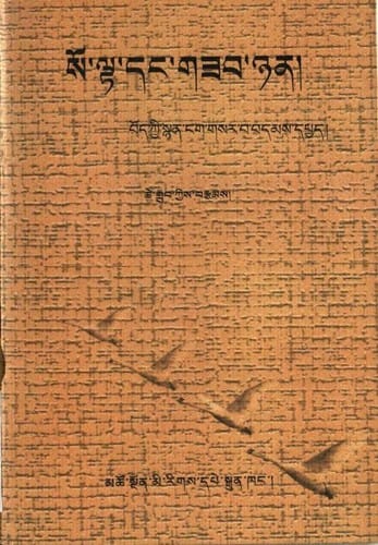 so lta dang gzab nyan: bod kyi snyan ngag gsar ba bdams dpyad