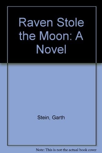 Raven stole the moon: a novel