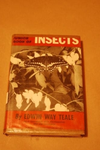 The junior book of insects.