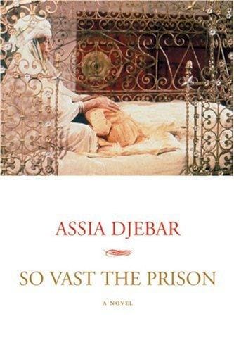 So vast the prison: a novel