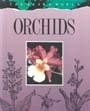 Orchids