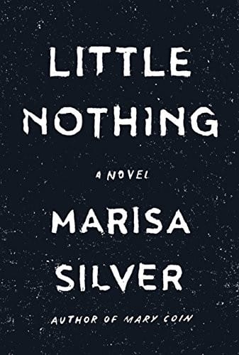 Little Nothing (Thorndike Press Large Print Core)