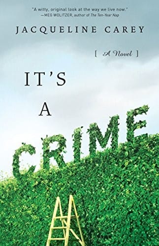 It's a Crime: A Novel