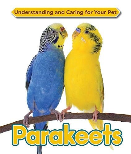 Parakeets