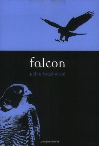 Falcon (Reaktion Books - Animal)