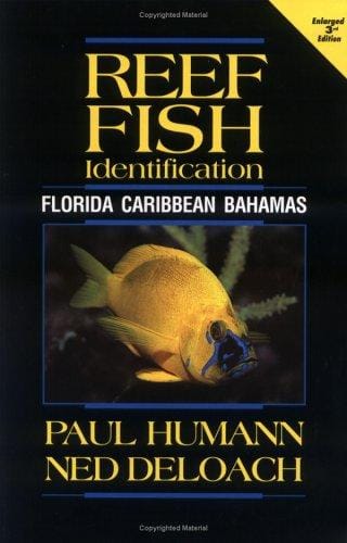 Reef Fish Identification: Florida, Caribbean, Bahamas