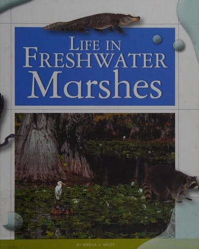 Life in freshwater marshes