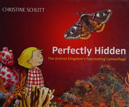 Perfectly hidden: the animal kingdom's fascinating camouflage