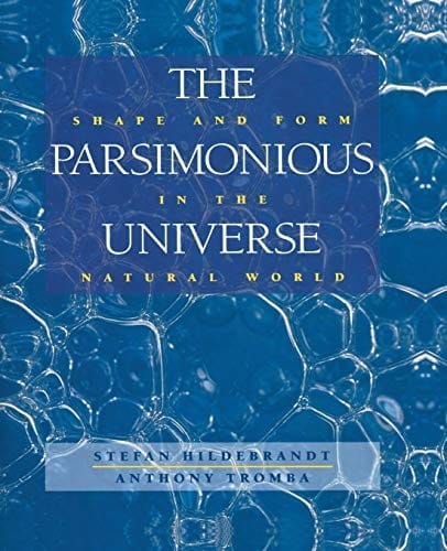 The Parsimonious Universe
