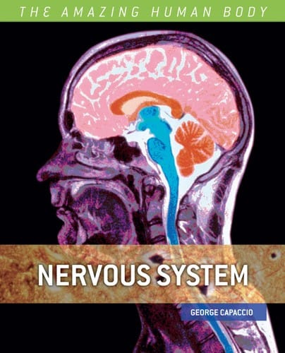 The nervous system