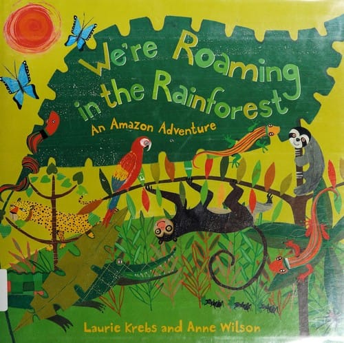 Rainforest day, rainforest night