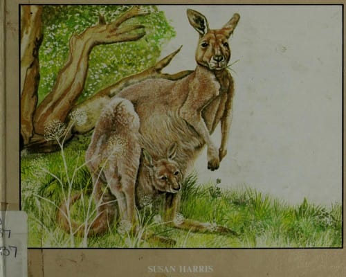 Creatures with pockets