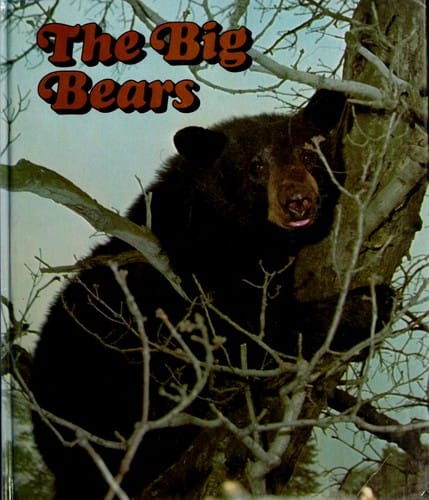 The big bears.