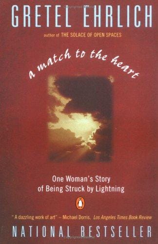 A Match to the Heart: One Woman's Story of Being Struck By Lightning