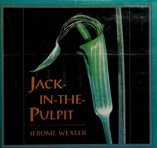 Jack-in-the-pulpit