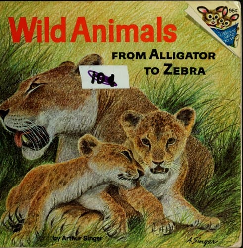 Wild animals: from alligator to zebra.